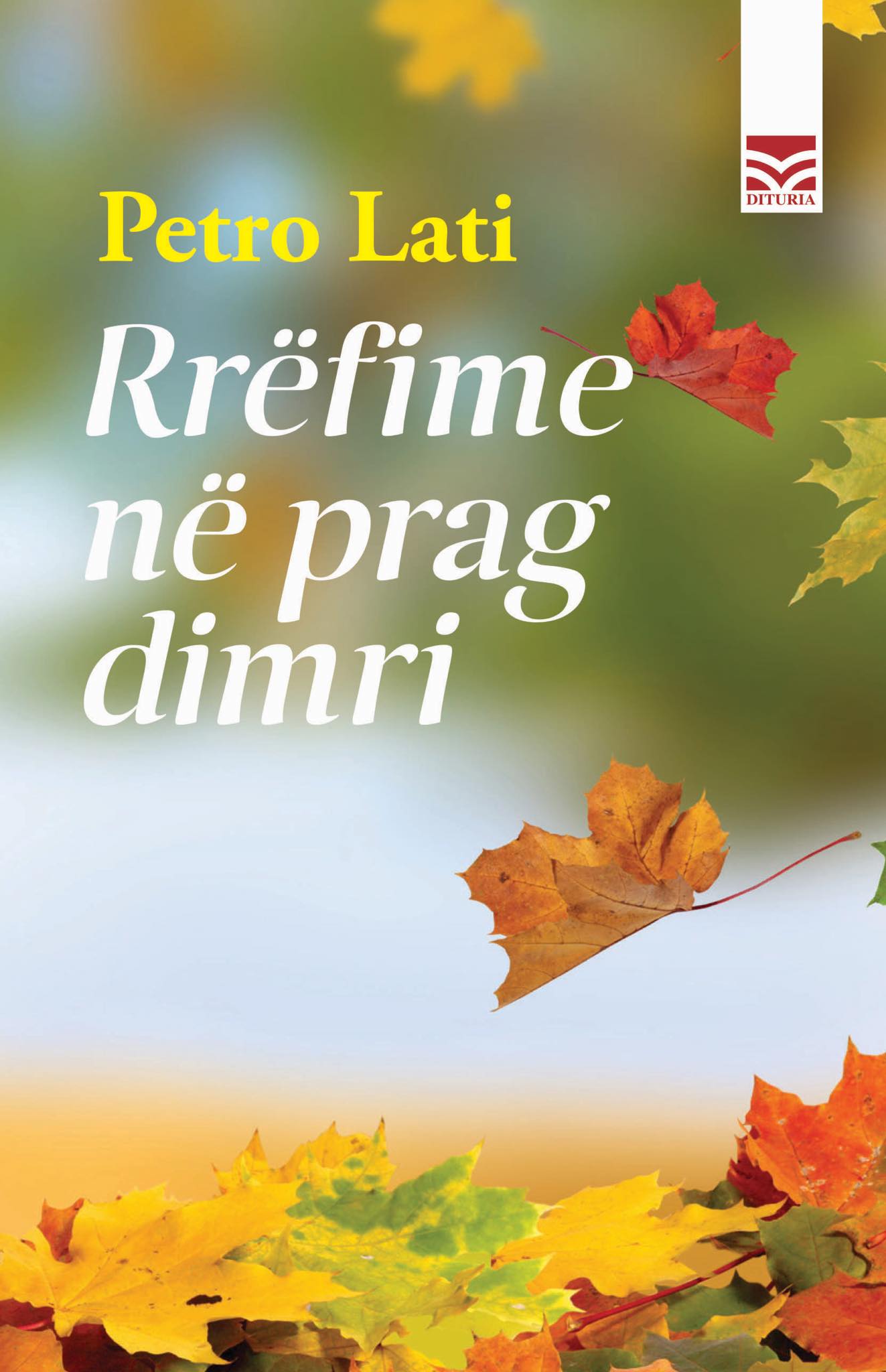 BDI8456 Rrefime ne prag dimri - Figura 1