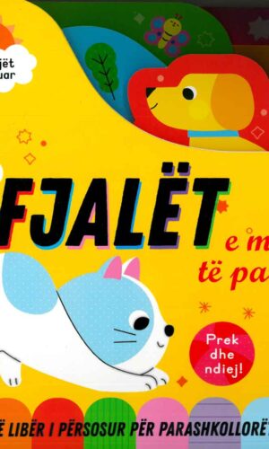 Femijet e zgjuar - fjalet e mia te para