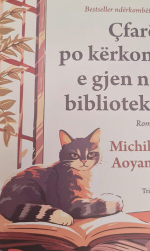 Cfare po kerkon e gjen ne Biblioteke