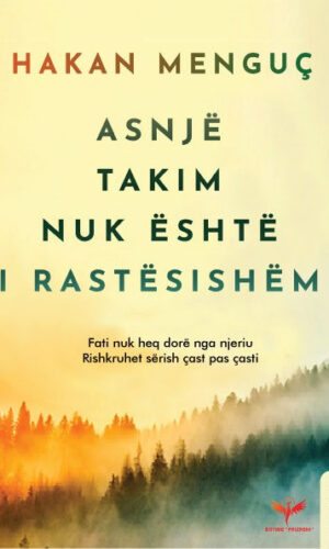 Asnje takim nuk eshte i rastesishem - Priznreni