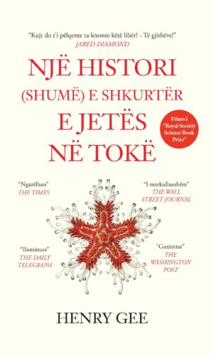 Nje histori ( shume ) e shkurter e jetes ne toke - Muza