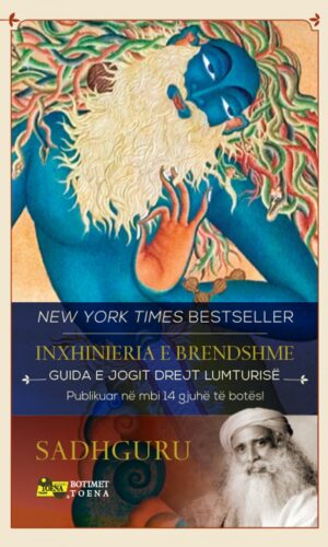 Inxhinieria e brendshme