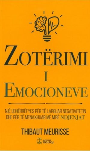 Zoterimi i emocioneve - Endri