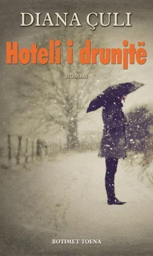 Hoteli i drunjte