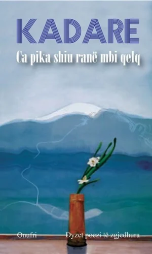 Ca pika shiu rane mbi qelq-BO